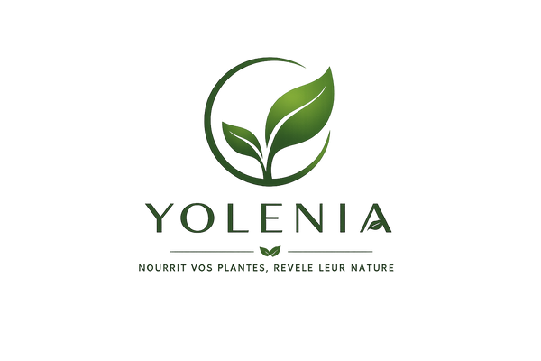 My Store
